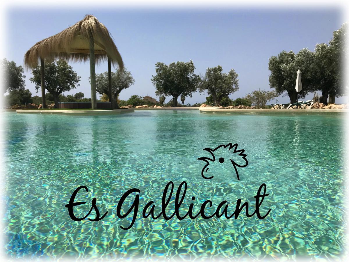 Agroturismo Es Gallicant Campos  Exterior photo